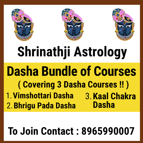 Dasha Bundle of Courses