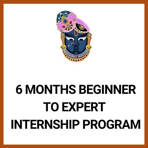 6 Month Beginner to Expert Internship Program